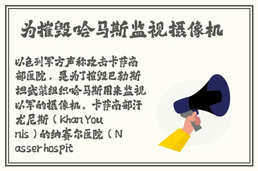 麻花豆传猫爪影像2024
